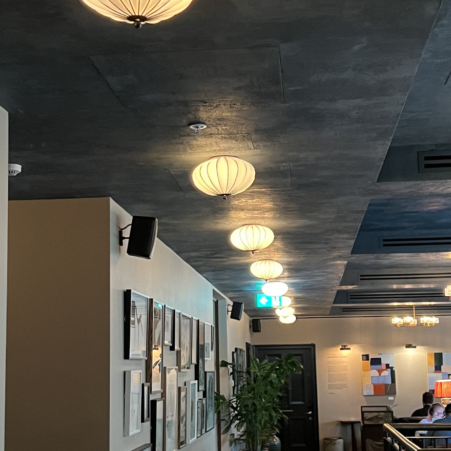 Dark & moody Venetian plaster applied to hotel ceiling